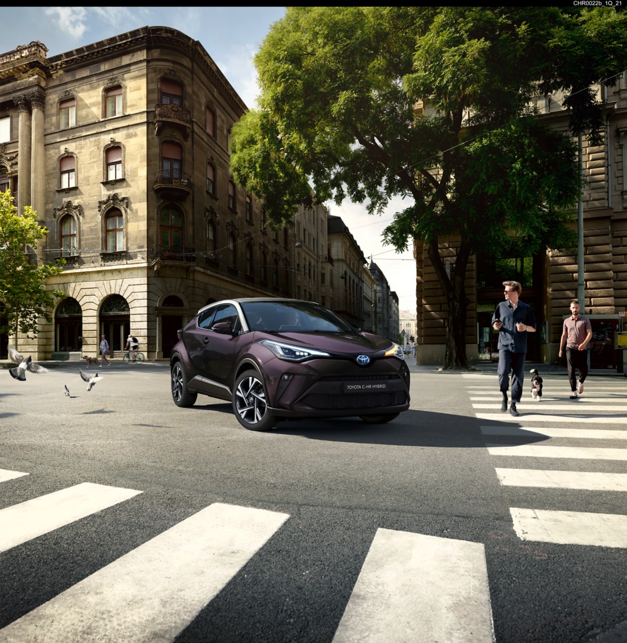 Toyota Corolla Hatchback stopped at zebra crossing